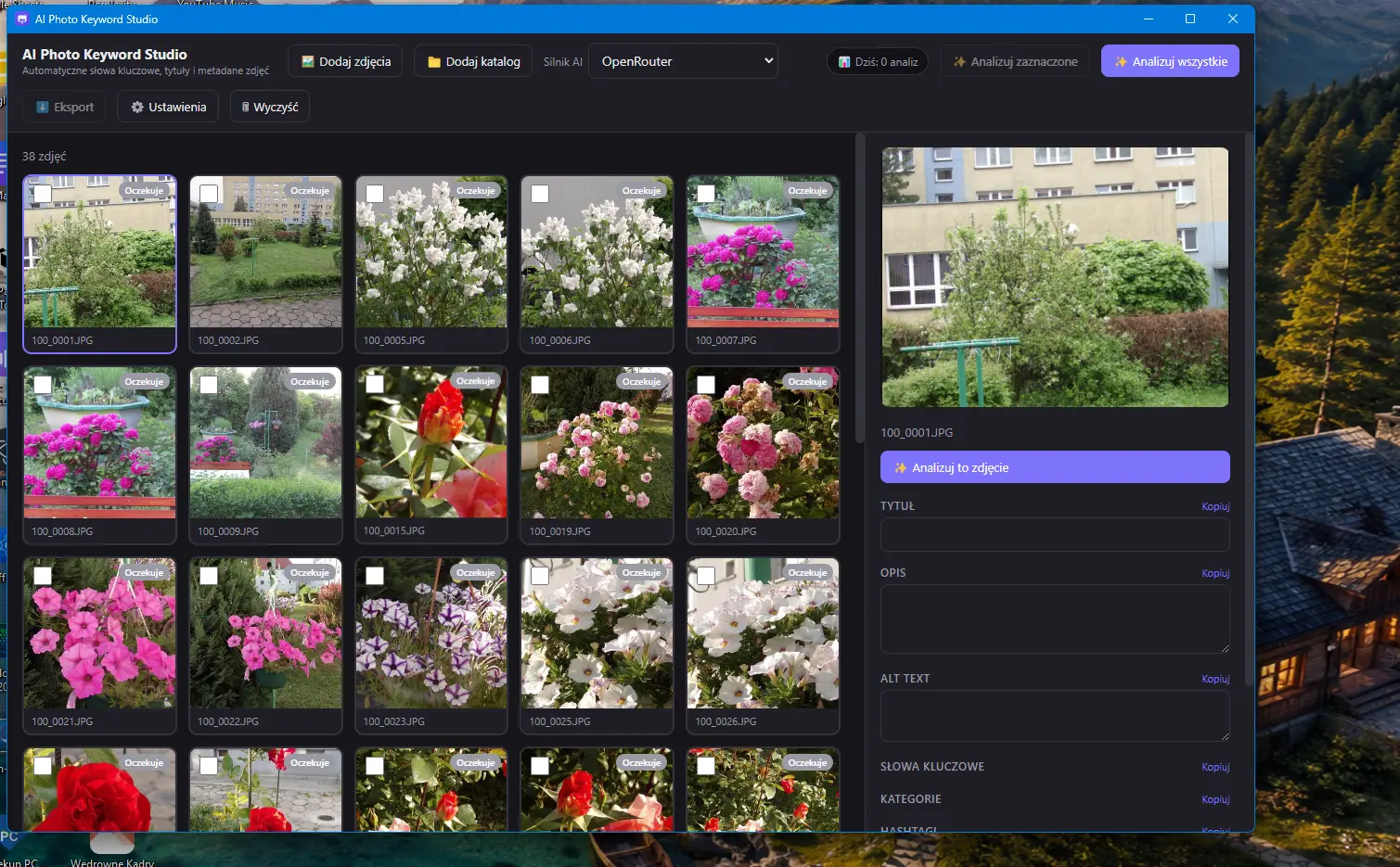 Galeria i panel analizy AI Photo Keyword Studio